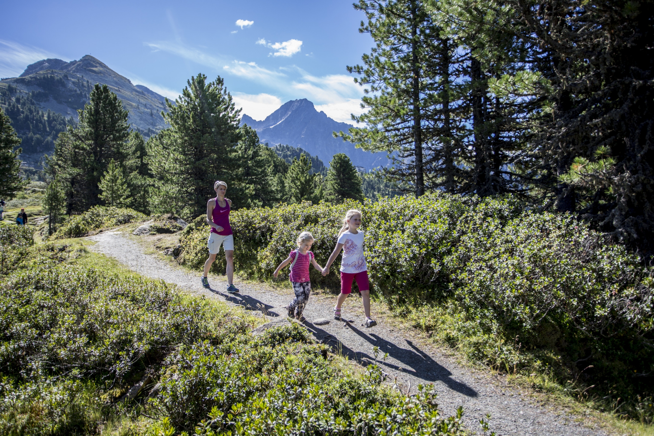 Geocaching Schatzsuche im Widiversum Hochoetz