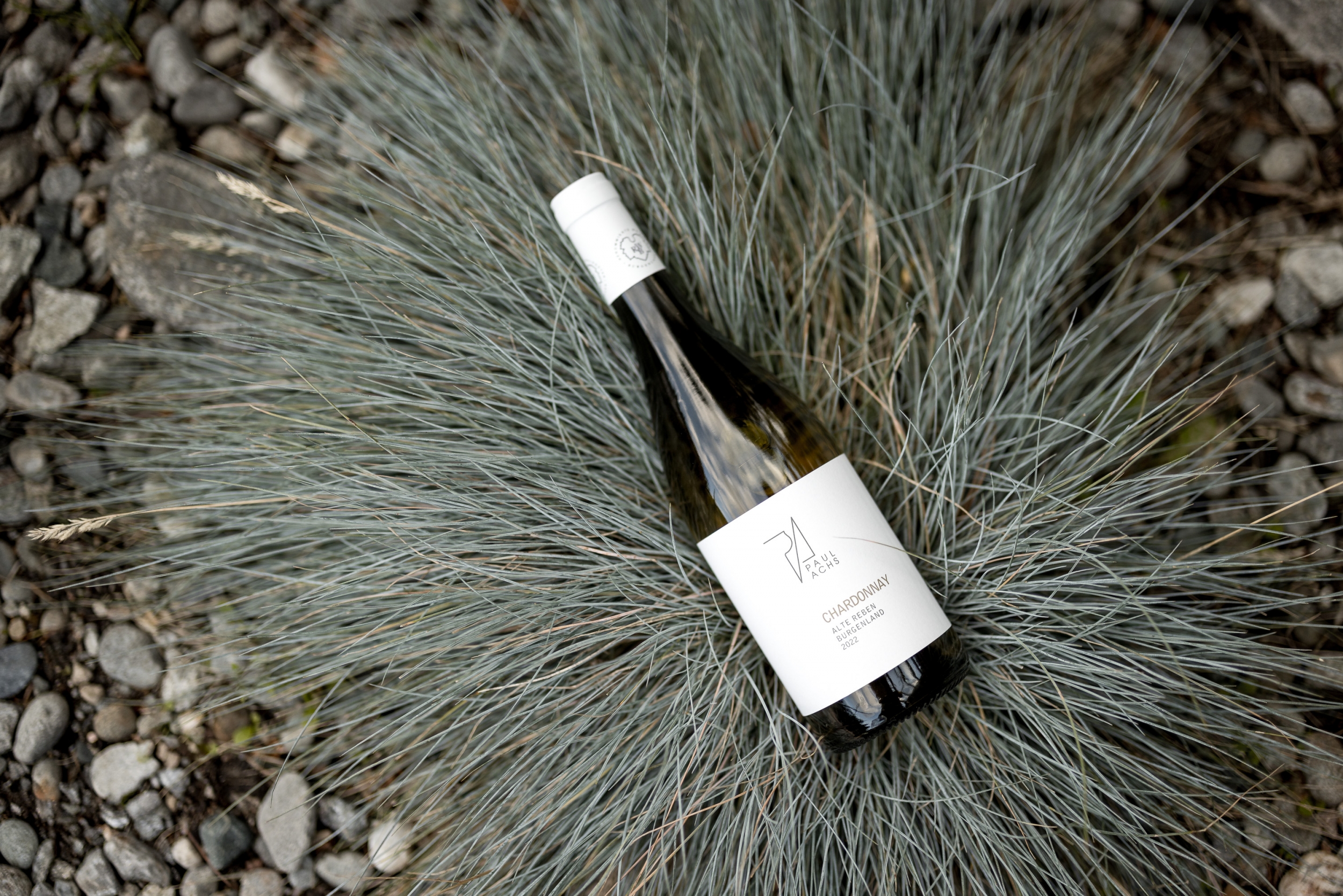 Wein vom Weingut Paul Achs bei der Wein am Berg - Summer Edition 2025 Wein vom Weingut Paul Achs bei der Wein am Berg - Summer Edition 2025