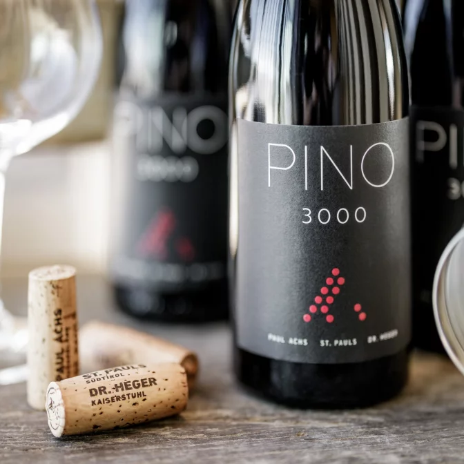 PINO 3000 Weinflaschen